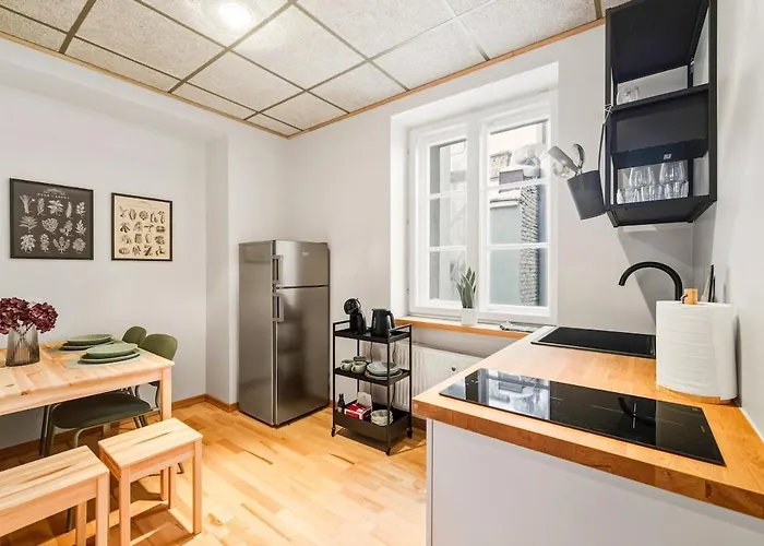 Cozy 2br Oldtown Rooftop Views Apartmán Tallinn