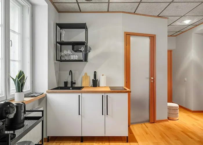 Apartmán Cozy 2br Oldtown Rooftop Views Tallinn